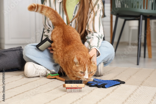 Foto Woman brushing cute cat on carpet at home