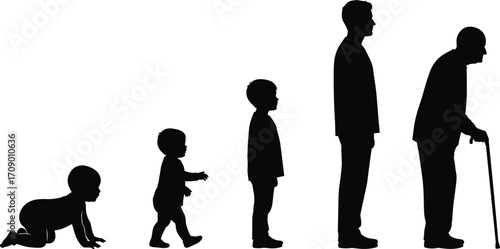 Human life stages, aging process, silhouette evolution, baby to elderly, growth timeline, biological development, generational change, age progression, life journey, anatomy study
