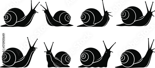 Minimalist snail illustrations, black and white snail icons, stylized snail vector set, graphic snail design, isolated snail artwork collection