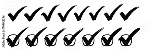 Collection of Hand Drawn Check Marks and Checked Boxes tick