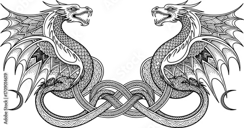 Intricate black and white twin dragons with detailed scales, wings spread, Celtic knotwork intertwined, fantasy mythical creatures, fierce, symmetrical design, medieval tattoo art.