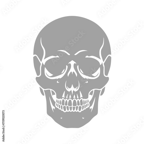 Contemplative Skull Icon: A stark, two-tone representation of a human skull, symbolizing mortality and introspection, is set against a monochromatic backdrop.