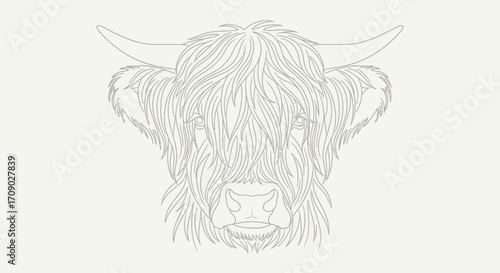 Stylized Highland cow face line art