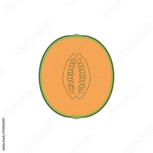 Freshly Cut Cantaloupe Slice with Seed Cavity