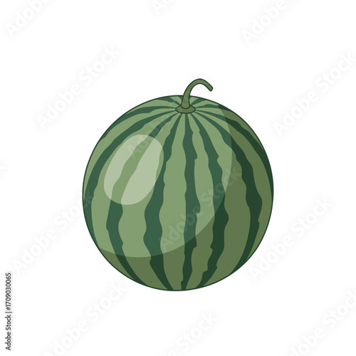 Cartoon Illustration of a Round Watermelon