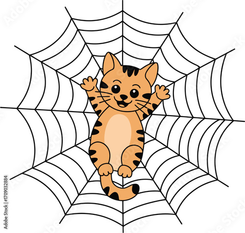 Orange tabby kitten caught in black spider web spiderweb
