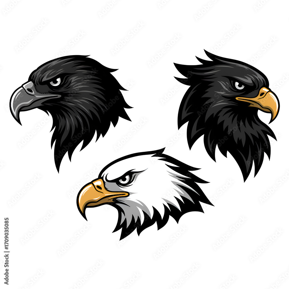 Obraz premium eagle head vector illustration