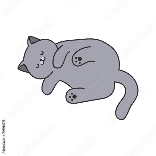 british shorthair illustration