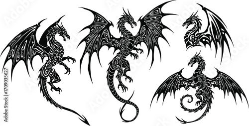 Black tribal dragon tattoos, fantasy winged dragons, mythical creatures illustration, fierce dragon designs, gothic dragon art, dark fantasy symbols