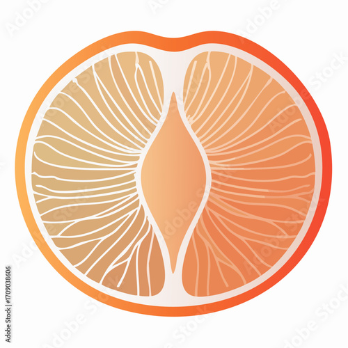 soft coral peach half vector icon with textured pit cavity and inner shadow for modern commercial use
