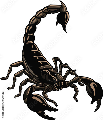 Scorpion