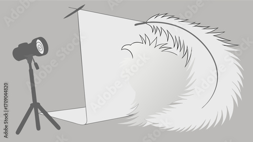 Studio lighting setup with backdrop and feather.