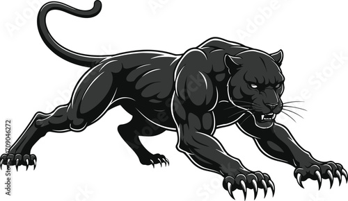 Powerful black panther illustration, muscular wild cat, fierce predator, jungle animal, hunting pose, aggressive big cat, wildlife vector art