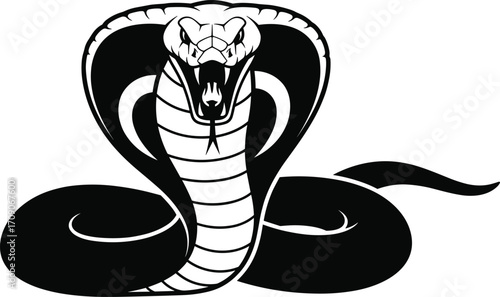Angry cobra snake illustration, coiled venomous serpent with hood, vector tattoo style design, aggressive reptile mascot, black silhouette