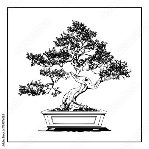 trees vectors, plants vectors , forest vectors