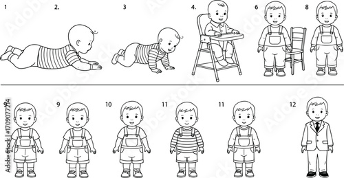 Child growth stages illustration, baby to adult, human development chart, childhood education vector, parenting concept, life cycle artwork, anatomy drawing