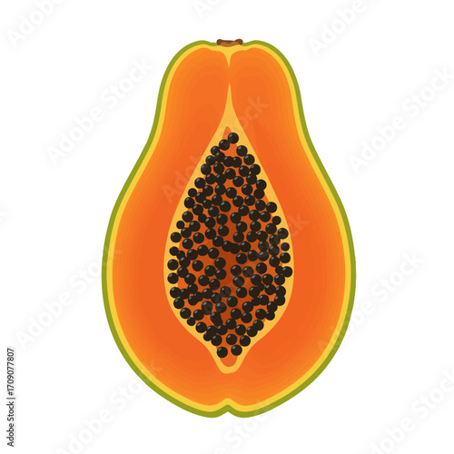 Vibrant tropical papaya fruit sliced in half, revealing juicy orange flesh and numerous black seeds, presented as a fresh and healthy food illustration on a white background