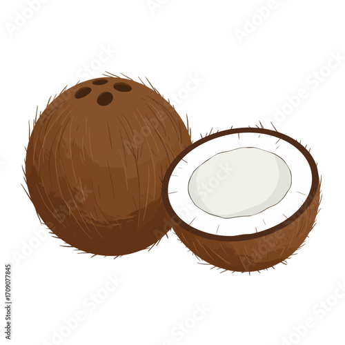 Fresh tropical whole and halved coconuts showcasing healthy and natural delicious fruit