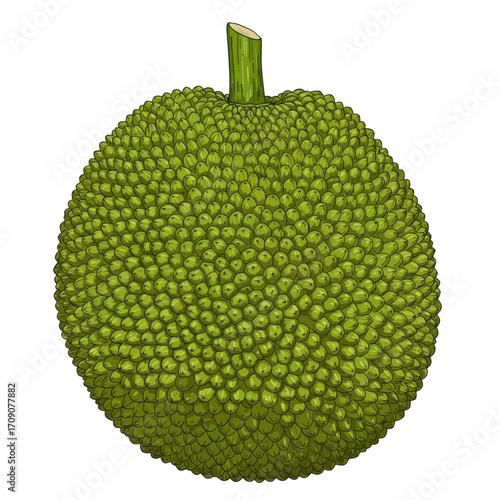 Vibrant green jackfruit illustration highlighting its unique texture and exotic tropical appeal