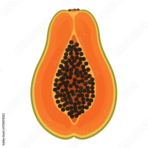 A vibrant illustration of a halved papaya with its black seeds displayed prominently