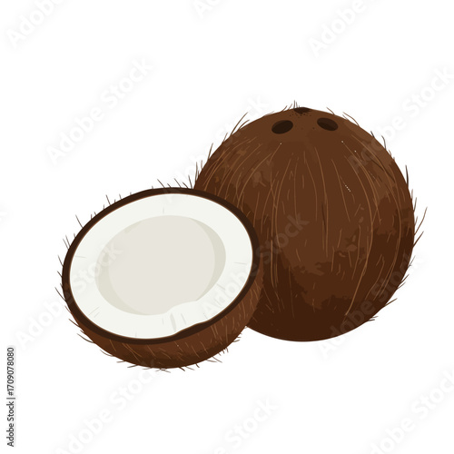 Fresh Coconut Delight Whole and Halved Coconuts, Tropical Fruit Vector Illustration