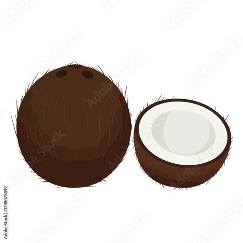 Illustration of a whole tropical coconut and a half piece showing the white flesh