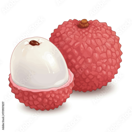 A detailed illustration of a ripe whole lychee next to a peeled one revealing its juicy flesh and seed
