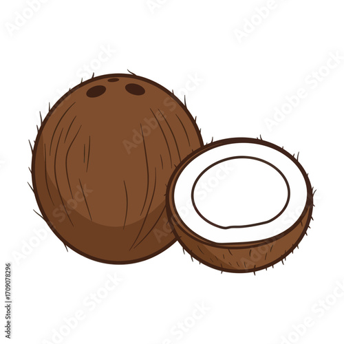 Vibrant vector illustration of a whole tropical coconut alongside a perfectly halved coconut revealing its pristine white edible flesh