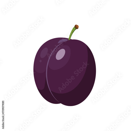 Illustration of a single ripe plum with a stem, isolated on a white background