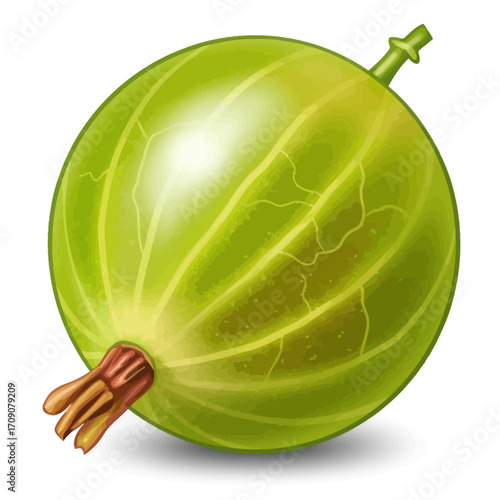 Fresh Green Gooseberry Still Life Vibrant, Healthy, and Naturally Sweet