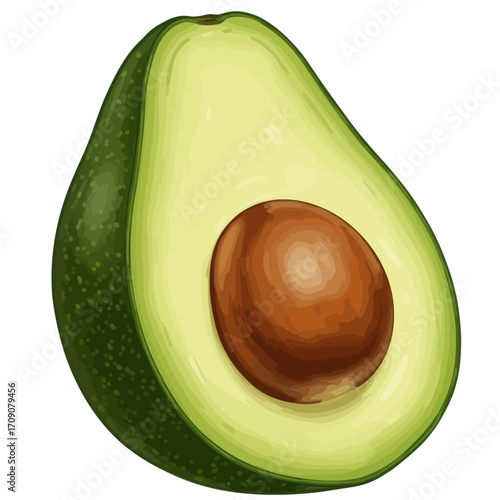 Avocado Slice Illustration Nutritious Food Graphic
