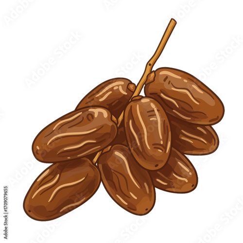 Juicy Cluster of Brown Dates A Sweet and Nutritious Delight
