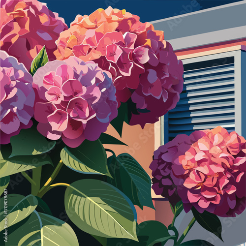 Close-up of vibrant pink hydrangeas against a building facade