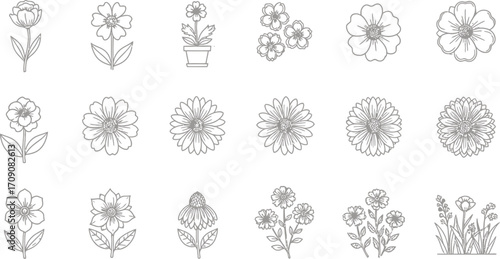 Flower outline vector set, floral drawing collection, botanical line art design