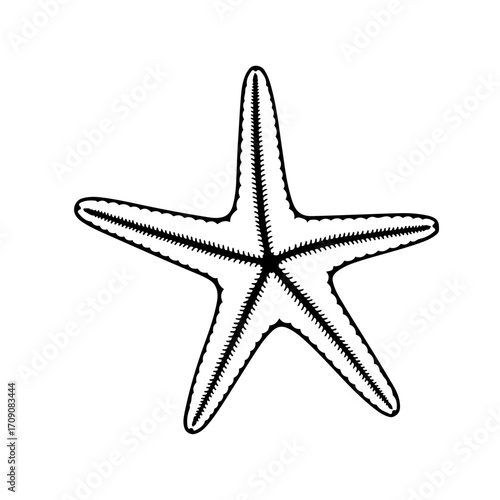 Stylized Black and White Starfish Illustration with Distinctive Serrated Edges