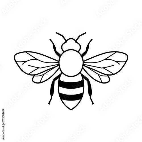Detailed Black and White Illustration of a Honeybee with Extended Wings