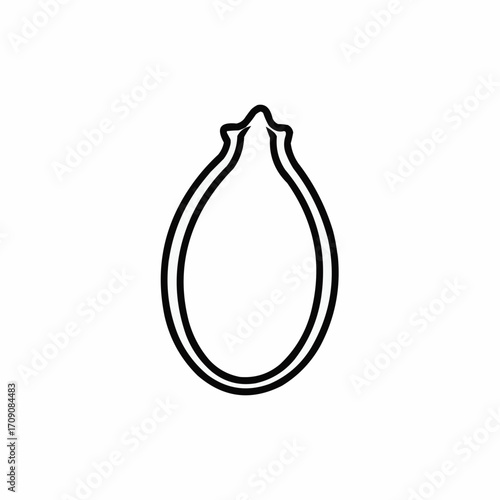 Simple Line Drawing of an Oval Seed with Pointed Top