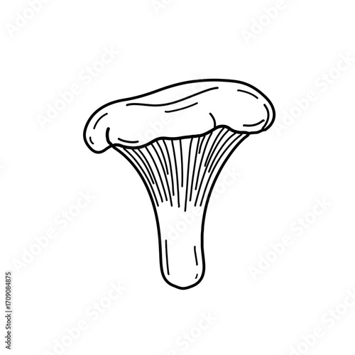 Detailed Black and White Illustration of a Chanterelle Mushroom.