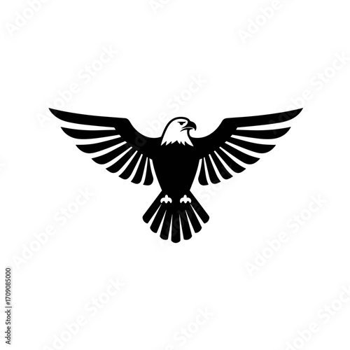 Bold monochrome eagle emblem with outstretched wings and sharp talons