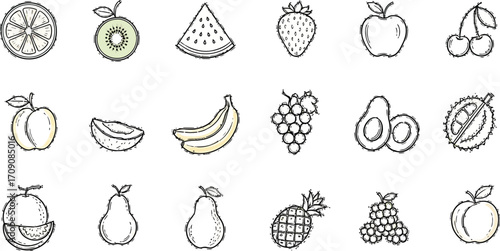 Fresh fruit vector illustration healthy food diet nutrition organic drawing