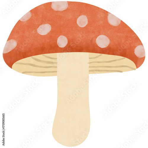 watercolor mushroom illustration