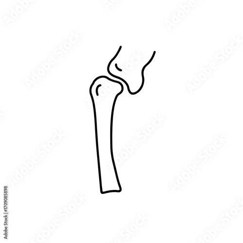 Minimalist Line Art of a Human Knee Joint with Femur and Tibia