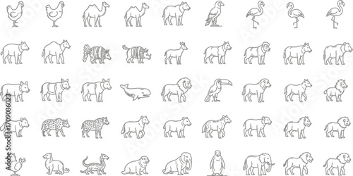 Collection of animal line art vector illustrations for educational use