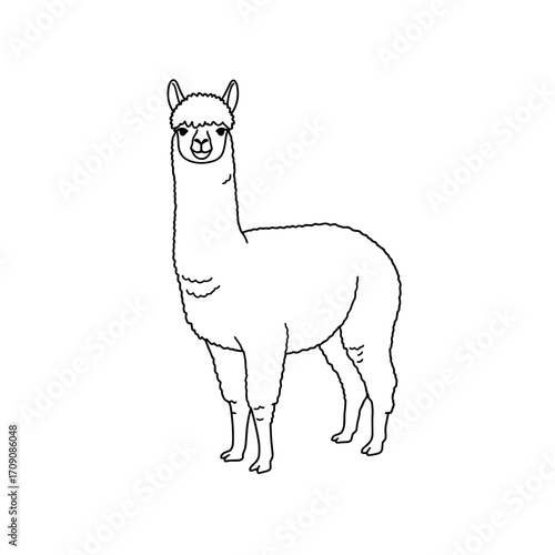 Stylized Alpaca Illustration with Detailed Fur Texture and Gentle Expression