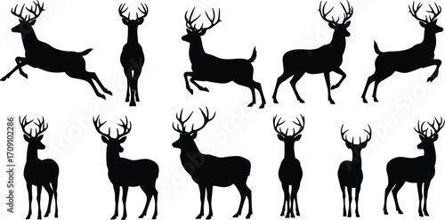 Deer silhouettes collection, wild animal vector set, reindeer stag illustration, hunting wildlife design, Christmas decoration, nature silhouette graphic art
