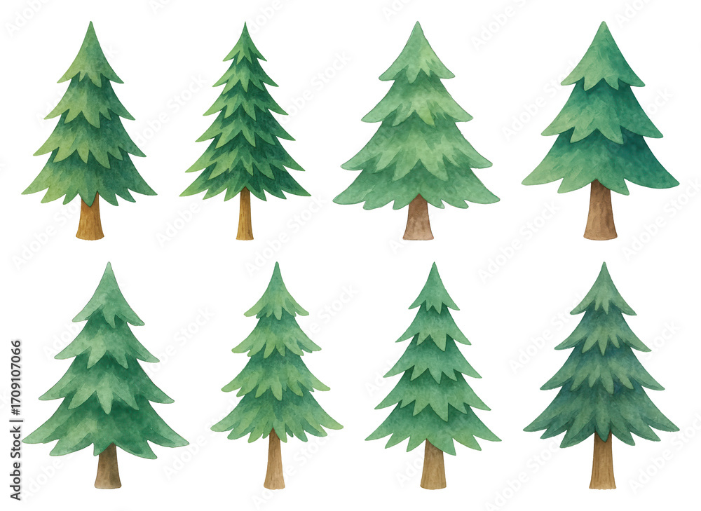 Obraz premium PNG Watercolor evergreen tree illustrations, element set on transparent background