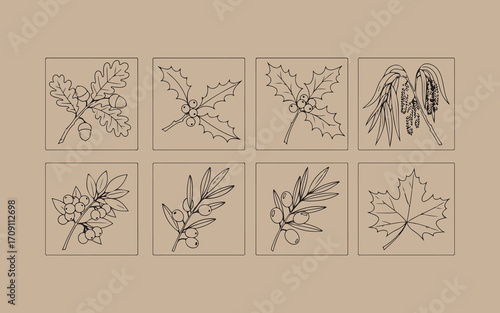Vintage botanical illustrations of flowers and leaves on kraft paper background