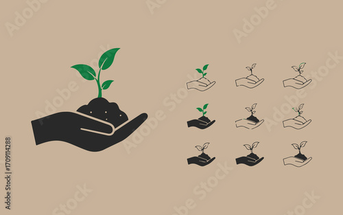 Hand holding a growing plant seedling and growth stages