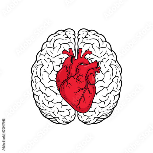 A symbolic illustration of a red anatomical heart placed inside a black and white human brain, representing emotion and logic.