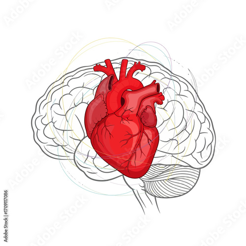 Human heart superimposed on a brain illustration.